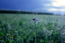 Photo By Mackenzie Celum